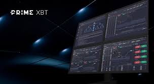 Everything You Need to Know About the Trading Platform PrimeXBT Brazil