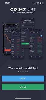 Comprehensive Guide to PrimeXBT Forex Trading